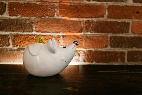 Pourquoi choisir la carte visa premier : 10 atouts pour votre sécurité